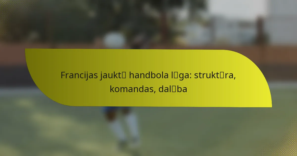 Francijas jauktā handbola līga: struktūra, komandas, dalība