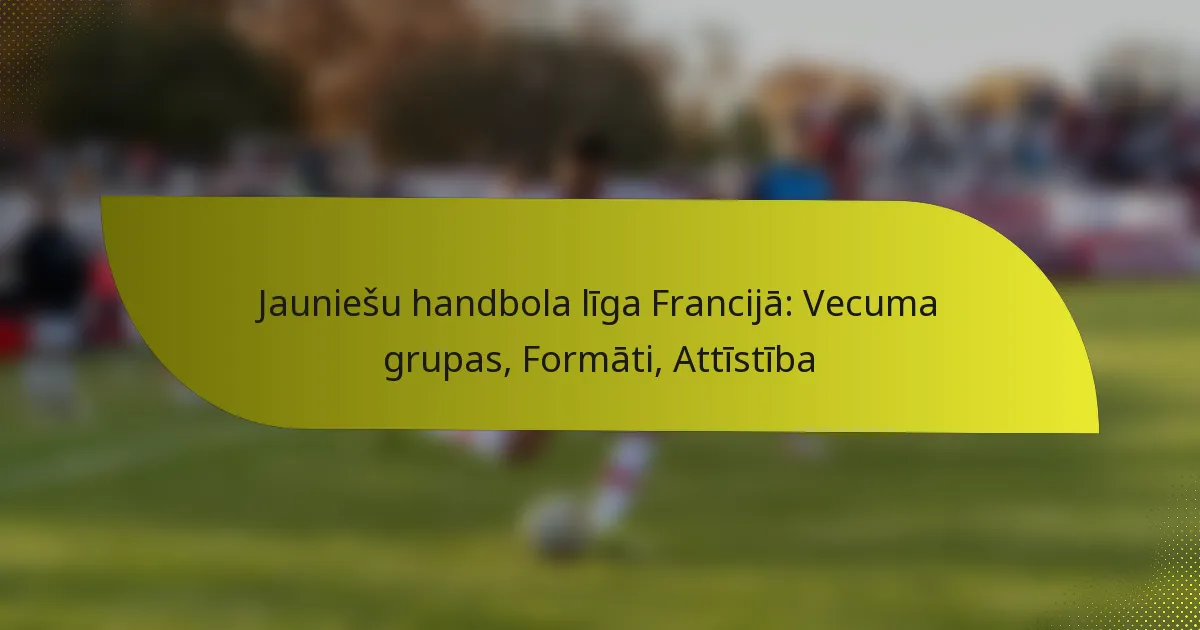 Jauniešu handbola līga Francijā: Vecuma grupas, Formāti, Attīstība