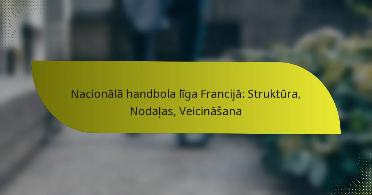 Nacionālā handbola līga Francijā: Struktūra, Nodaļas, Veicināšana