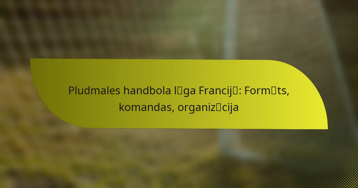 Pludmales handbola līga Francijā: Formāts, komandas, organizācija