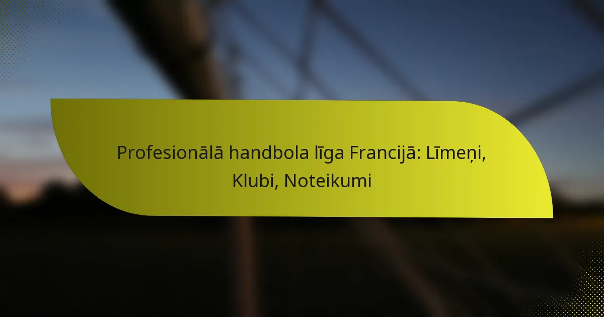 Profesionālā handbola līga Francijā: Līmeņi, Klubi, Noteikumi