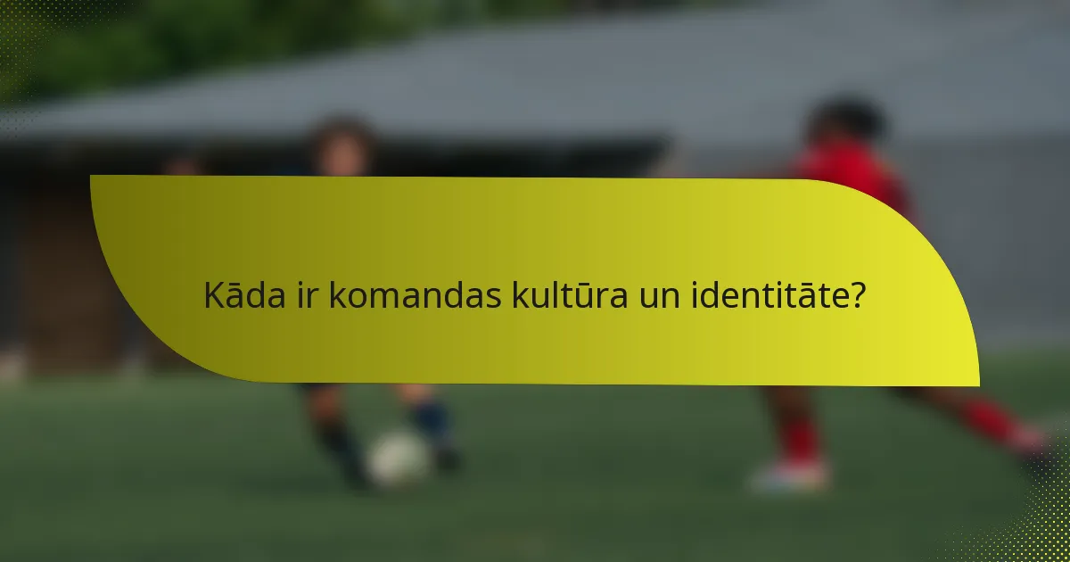Kāda ir komandas kultūra un identitāte?